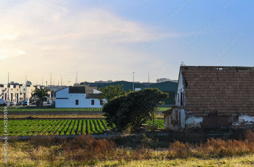 Farmland and farm field in rural. Village house at agriculture field in countryside. Land horchata. Alboraya agriculture. Almácera Wineries and Vineyard. Spain Farm house on sunset. Farmland and farm field in rural. Village house at agriculture field in countryside. Land horchata. Alboraya agriculture. Almácera Wineries and Vineyard. Spain Farm house on sunset.