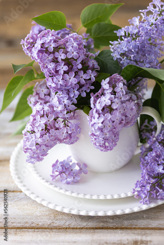 Beautiful spring composition with lilac flowers in a white cup for countryside decor. Greeting card for Women's Day, Mother's Day, Anniversary, 8th March
