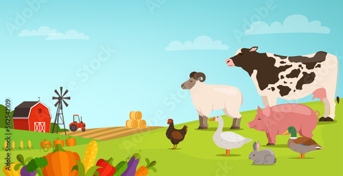 Farm landscape with domestic animals. Countryside cartoon scene