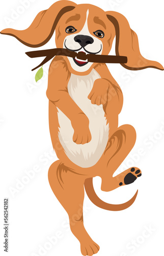 Funny puppy with wooden stick. Cartoon dog playing