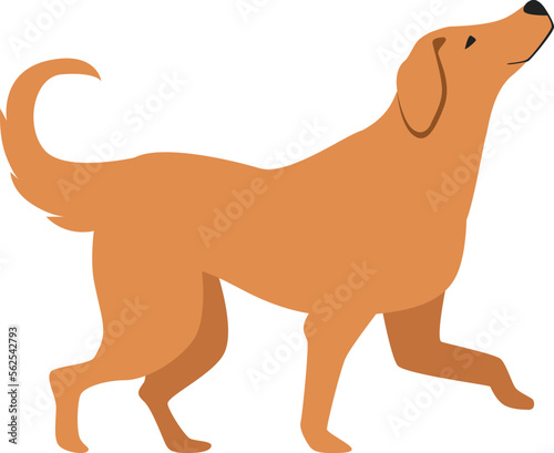 Friendly dog character. Cartoon labrador. Funny pet