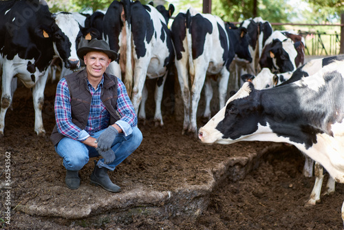Man cowboy at cow farm ranch