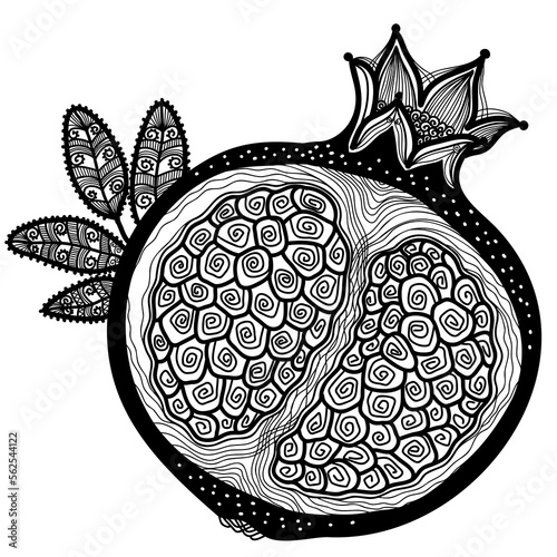 Garnet fruit vector out line sketch illustration with abstract decoration. Vector garnet white black graphic illustration isolated on white background for print or coloring book.