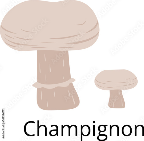 Mushroom icon. Champignon symbol. Organic edible fungus