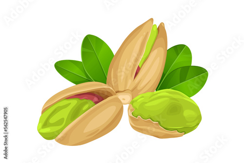 pistachios in shell isolated on white background.
