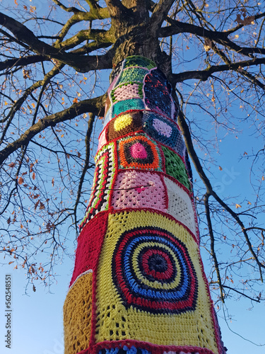 guerilla knitting on tree in the city photo