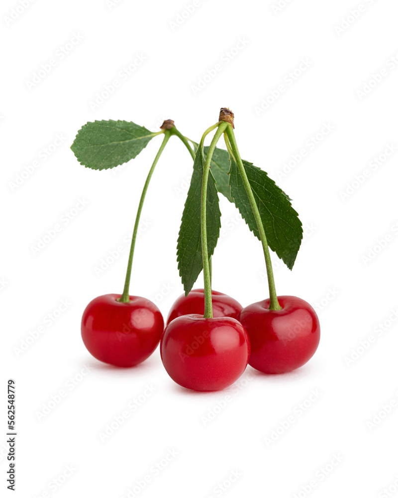 Ripe cherries with leaves on a white isolated background Ripe cherries with leaves on a white isolated background