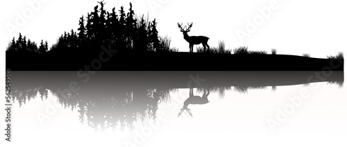 Print op canvas Landschaft: Wald mit Hirsch und Wiese