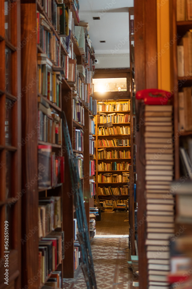 Obraz premium Libros5