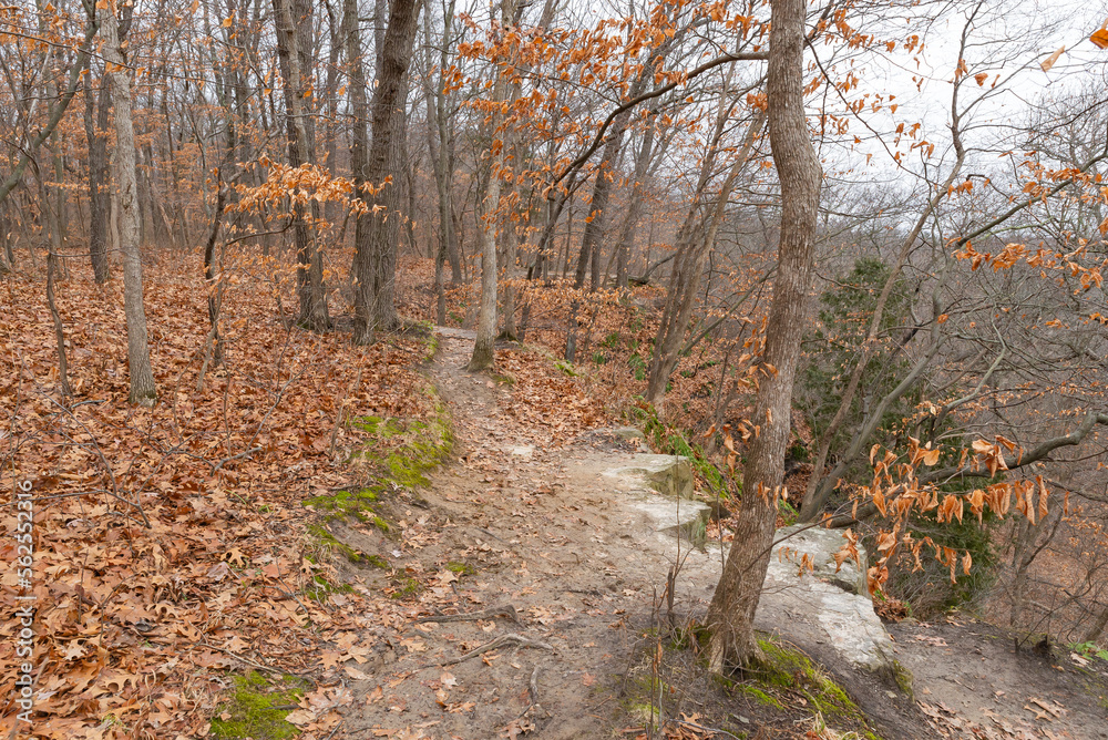 Bluff Trail.