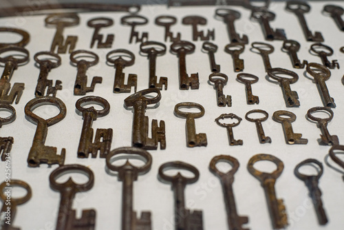 Bilde på lerret Old, rusty and medieval keys are displayed on white background