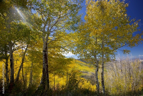  Colorado October