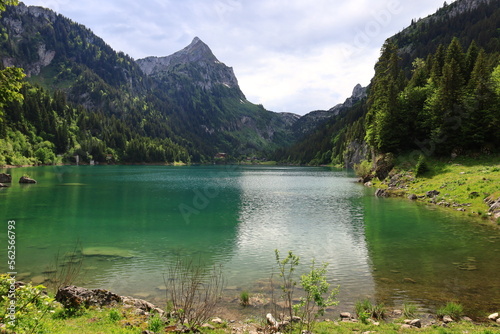 View on the Taney Lake which is a lake in the canton of Valais, Switzerland. photo