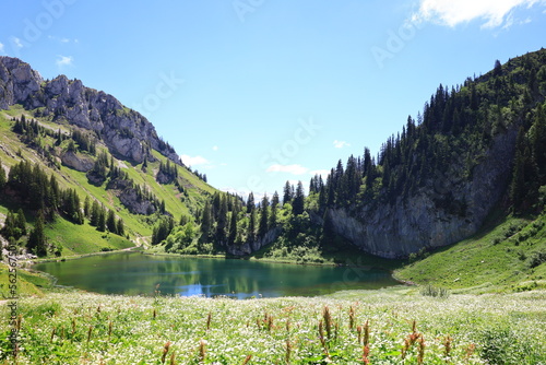 The 'Arvouin lake  is a lake south of Cornettes de Bise in the Haute-Savoie region of France photo