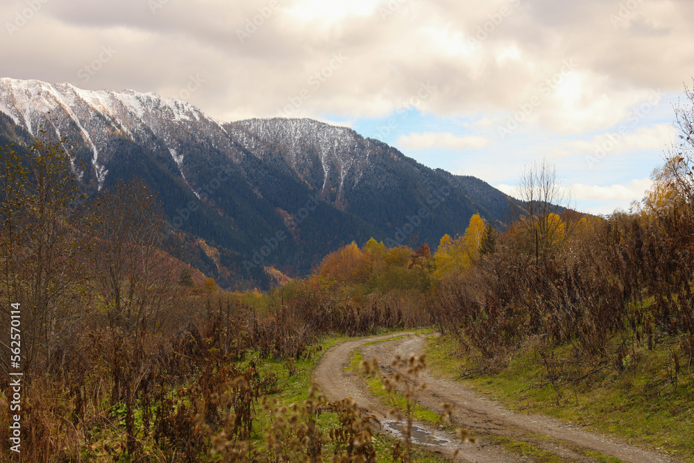 Picturesque view of pathway in beautiful mountains