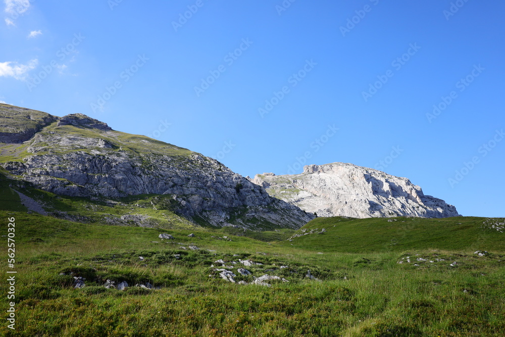 Fototapeta premium View from the Col de la Colombière which is a mountain pass in the Alps in the department of Haute-Savoie 