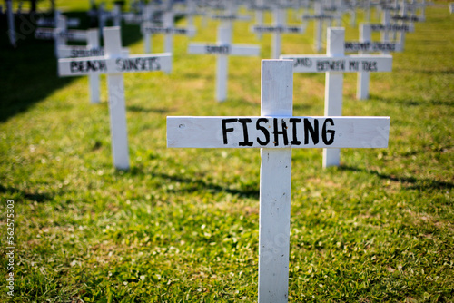 Crosses in mock cemetery, Grand Isle, Louisiana, USA photo