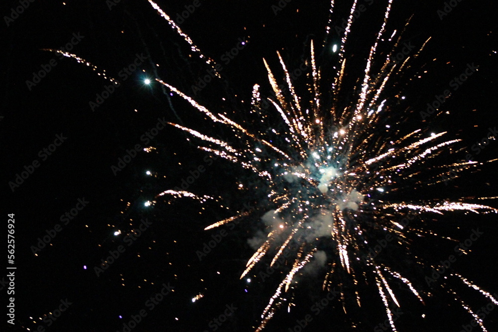 Fototapeta premium Celebration Fireworks at night