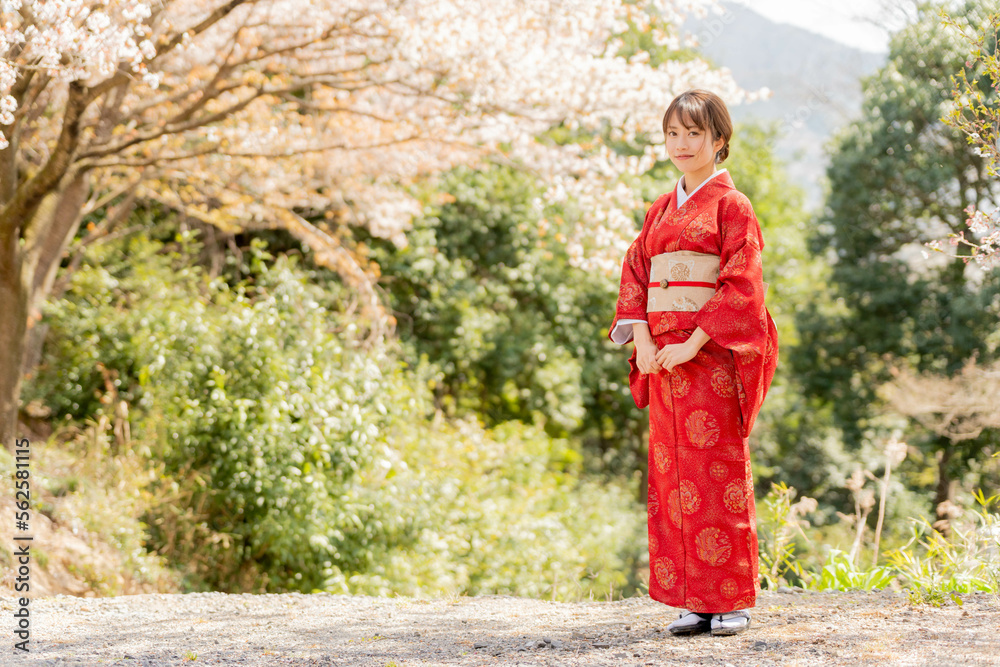 美しい日本女性