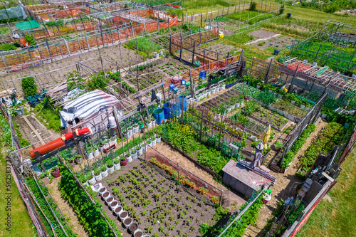 Urban gardening and farming aerial view. Urban oases in summer day. Sustainable living and edible urban jungle. New city movement that using practices like urban permaculture and guerrilla gardening.