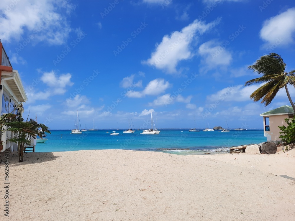 Fototapeta premium Paysage de Saint-Martin