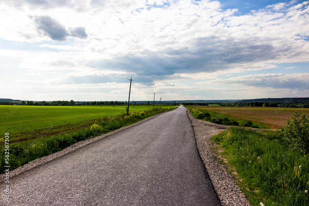 Asphalt road receding into the distance, flat landscape in the countryside