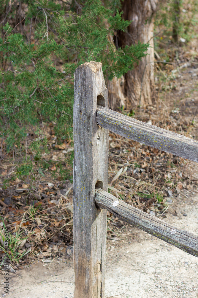 Barrier for cattle or horses made of old wood in autumn winter, with fallen leaves around it. green Barrier for cattle or horses made of old wood in autumn winter, with fallen leaves around it. green