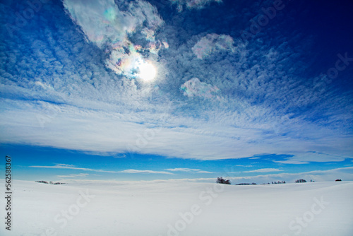 雪原の丘と彩雲（別海町）.jpg
