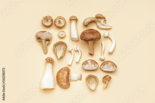 Composition with different fresh mushrooms on color background