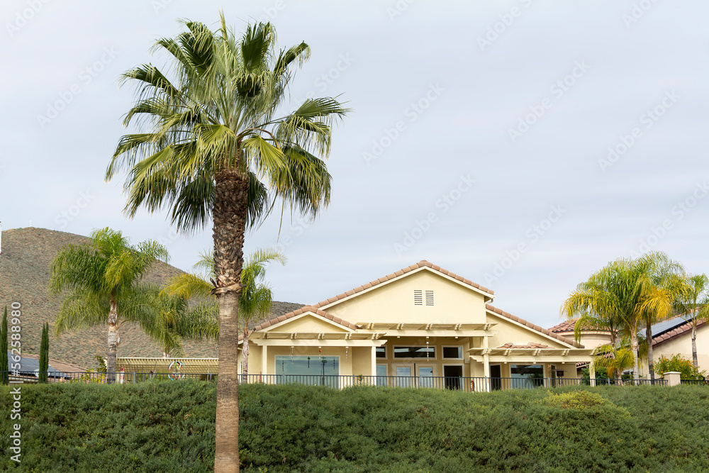Suburban one level single-family home façade with palm tree and dense evergreen shrub in foreground, Oasis Communication, Menifee, California, USA Suburban one level single-family home façade with palm tree and dense evergreen shrub in foreground, Oasis Communication, Menifee, California, USA