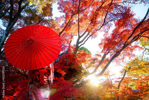 Fotografie Asian traveler on Kimono traditional japanese dress standing with red umbrella i