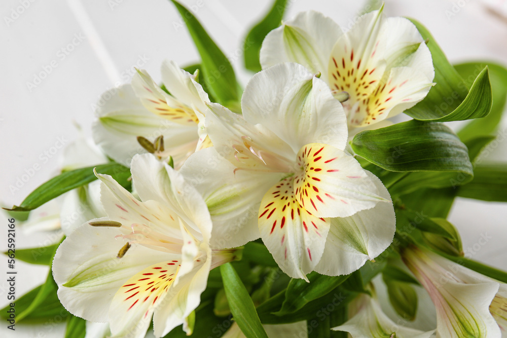 Bunch of beautiful alstroemeria flowers on light wooden background, closeup