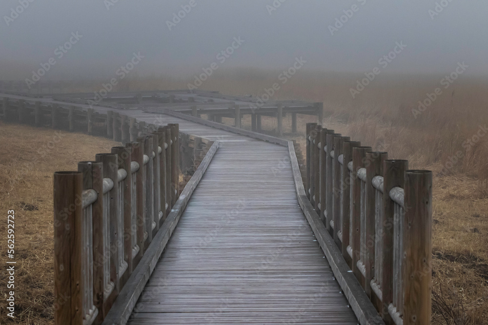 Obraz premium 霧と桟橋