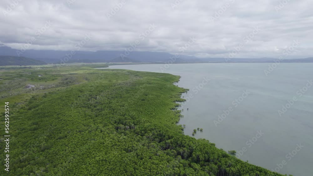Stunning Views Of The Ocean And Lush Forest Landscape Near Four Mile Beach In Port Douglas, Queensland, Australia. aerial pullback Stunning Views Of The Ocean And Lush Forest Landscape Near Four Mile Beach In Port Douglas, Queensland, Australia. aerial pullback