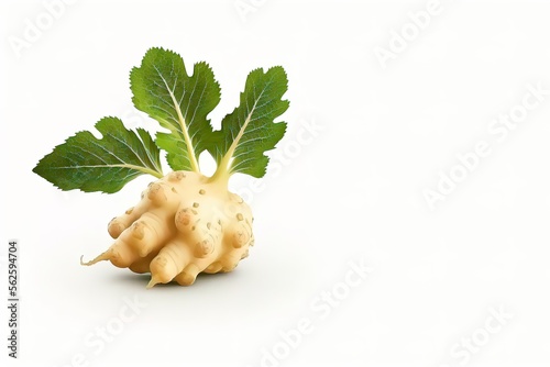 Fresh vegetable isolated. Horseradish root with leaves on white background. generative ai