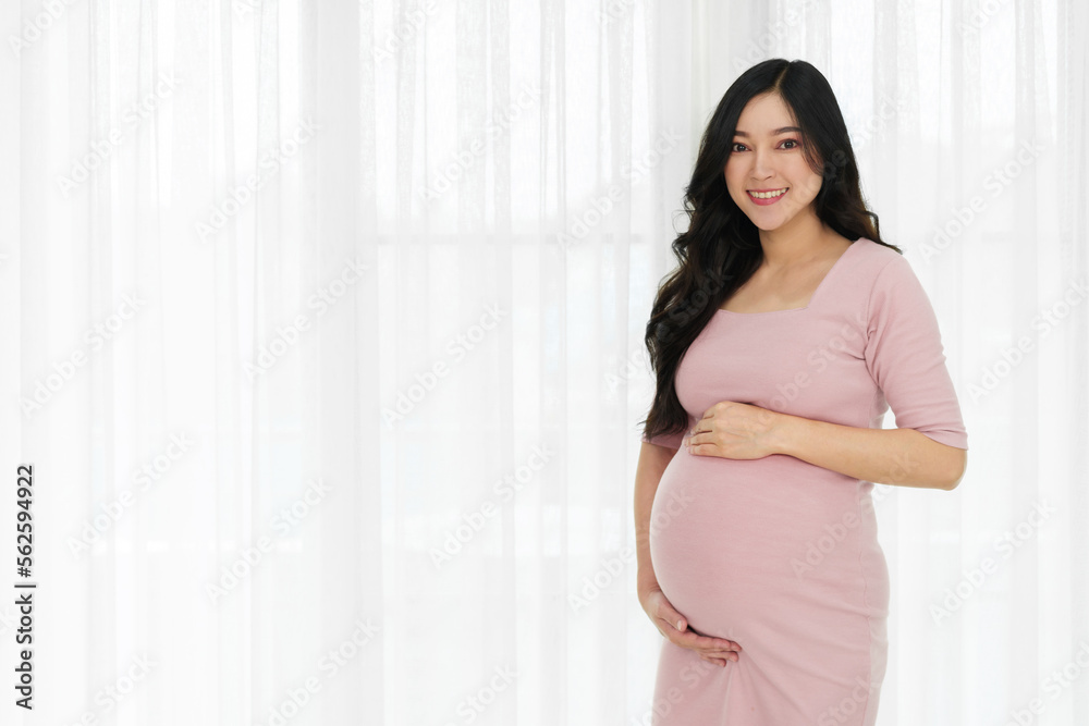 happy pregnant woman stroking belly on window background happy pregnant woman stroking belly on window background