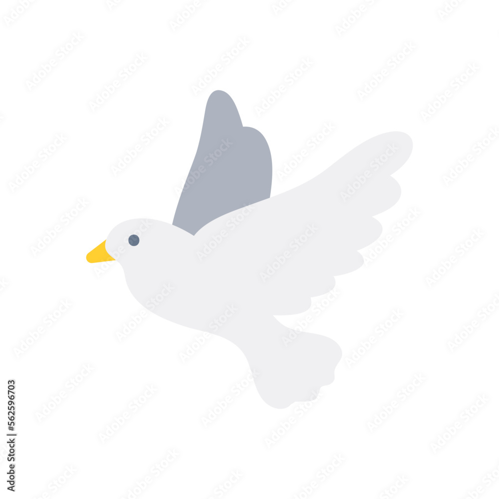 白い鳩 白い鳩
