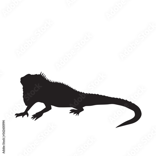 Iguana vector icon silhouette illustration isolated on white background. Simple flat clean shaped animal drawing.