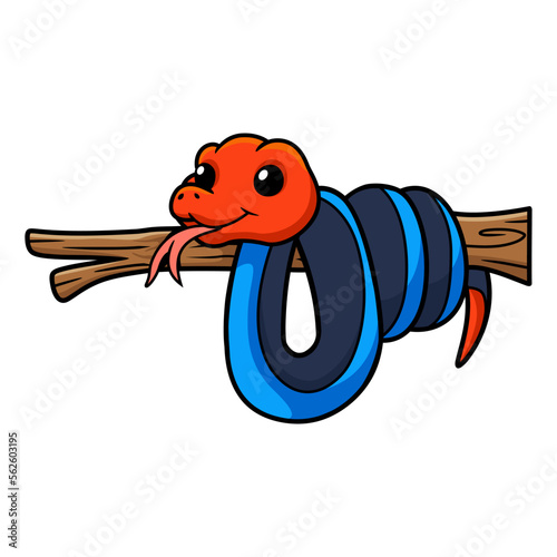 Cute red headed krait snake cartoon on tree branch photo