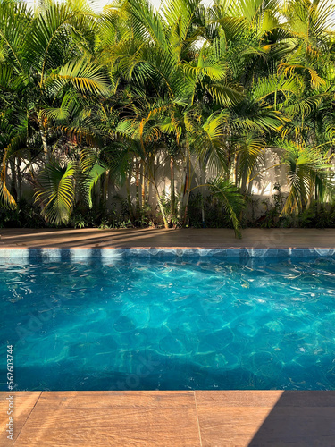 A refreshing pool of blue water with green palm trees in the background as a garden decoration on a late summer holiday afternoon.