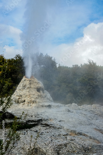 Steaming geothermal activity
