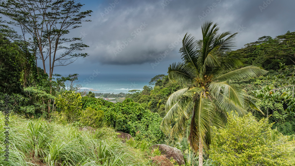 Lush tropical vegetation covers the hills - green grass, bushes, palm trees. The turquoise ocean is visible in the distance. Clouds in the blue sky. Seychelles. Mahe. Mission Lodge observation deck.