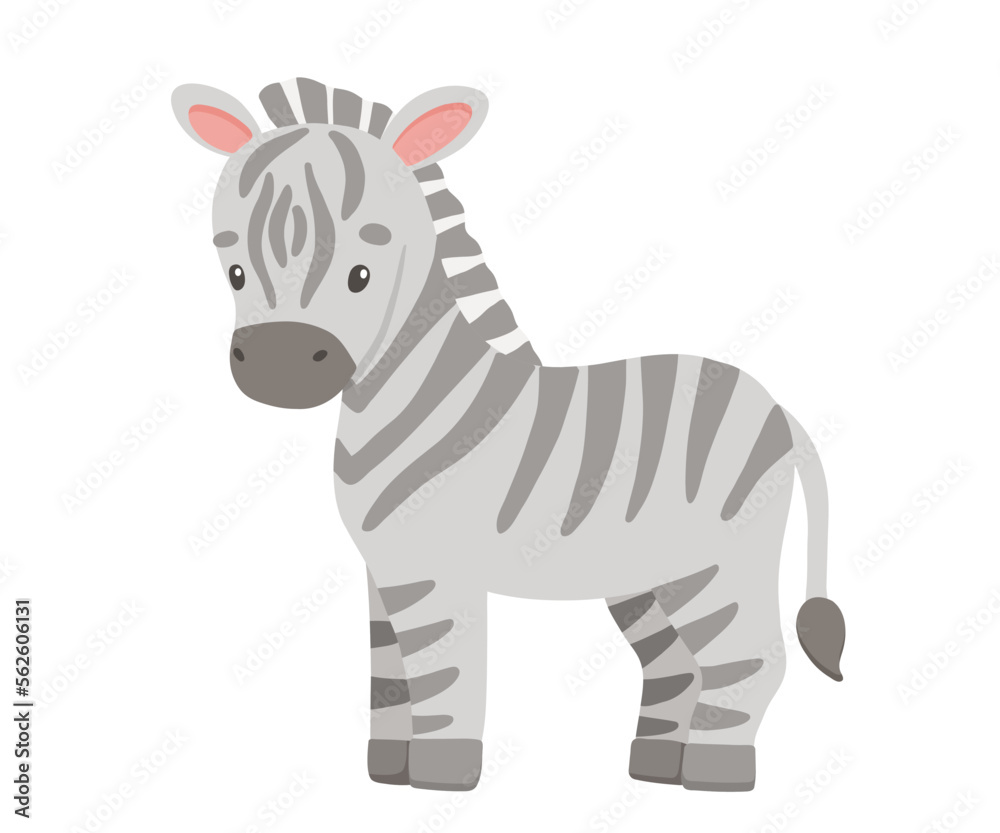 Fototapeta premium Cute zebra in cartoon style. Drawing african baby wild animal isolated on white background. Vector sweet giraffe for kids poster and card. Jungle safari animal