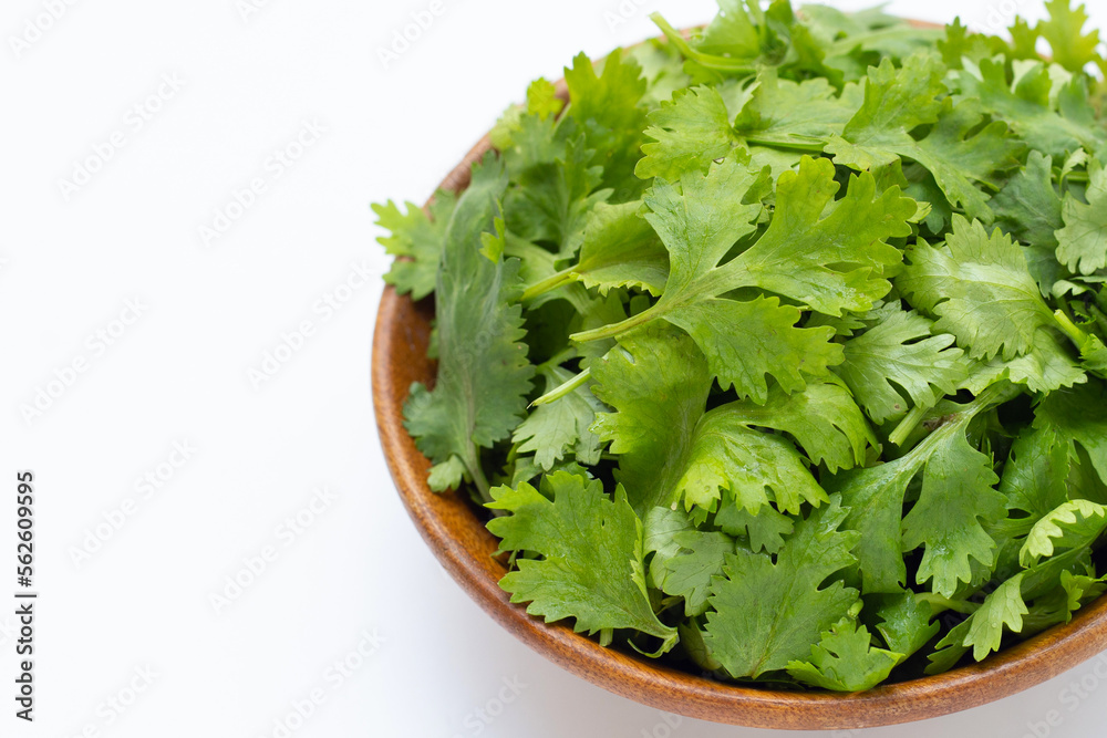 Fresh coriander leaves on white background. Fresh coriander leaves on white background.