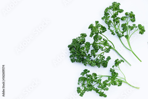 Fresh parsley on white background.