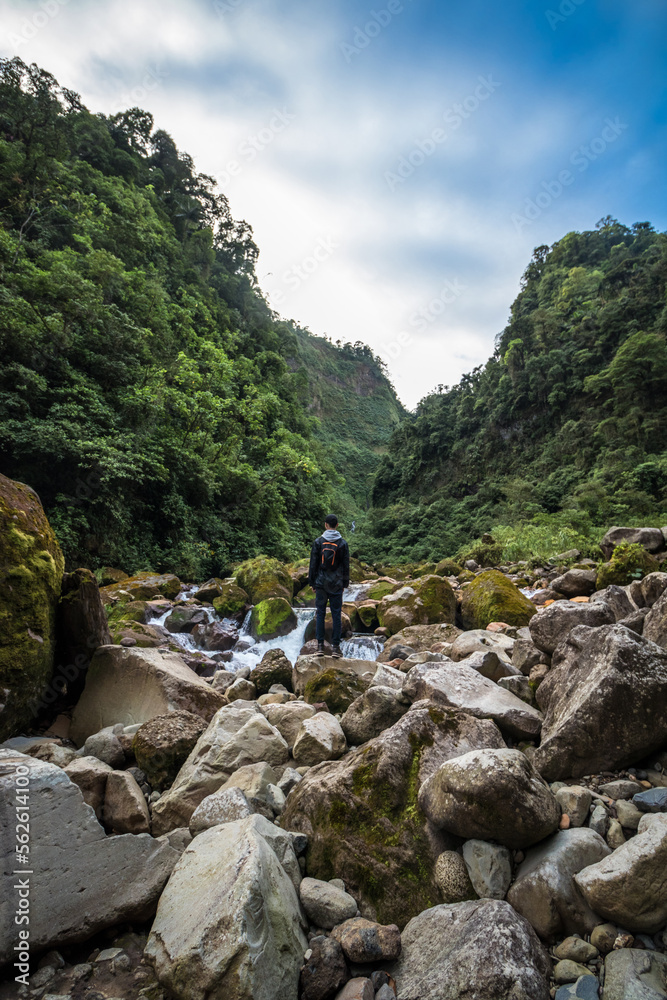 vertical shot of young man hiking on a riverbed in the middle of the tropical jungle