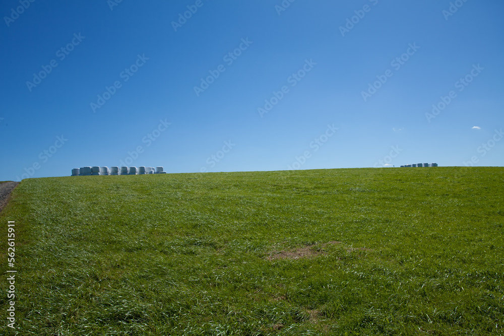 Obraz premium Summer ranch landscape with grass rolls