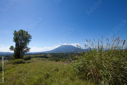 Mount Yotei and autumn meadows photo