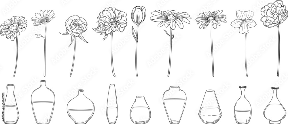 繊細な線画の花と一輪挿しの花瓶セット ベクター素材 繊細な線画の花と一輪挿しの花瓶セット ベクター素材