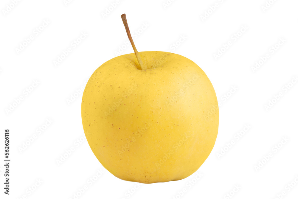 Golden ripe apple isolated on transparent background.